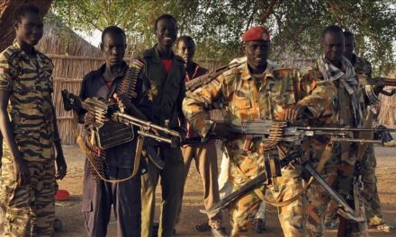 BURKINA FASO:LE GOUVERNEMENT CREE UN FONDS DE SOUTIEN AUX VOLONTAIRES POUR LA DEFENSE DE LA PATRIE