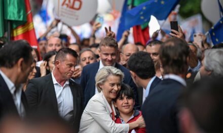 Les dirigeants européens : quelles perspectives après les élections européennes ?