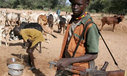 Republique de Tchad : Des affrontements sanglants entre éleveurs et agriculteurs…