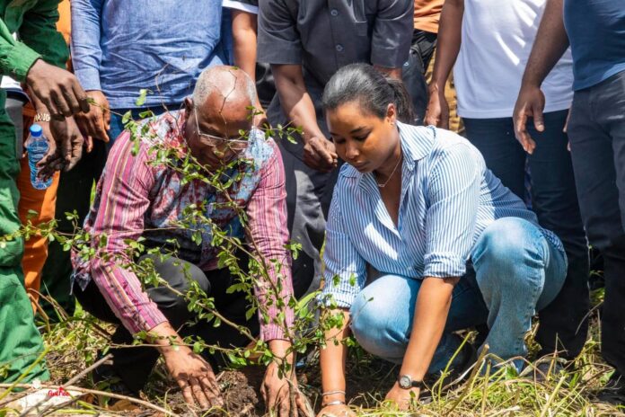 Campagne nationale de reboisement 2024 : un élan massif pour reverdir la Guinée