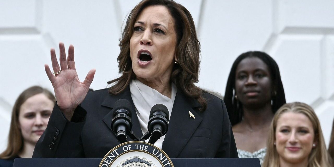 Choix entre la liberté et le chaos » : Kamala Harris entame sa campagne dans le Wisconsin et critique sévèrement le President Trump