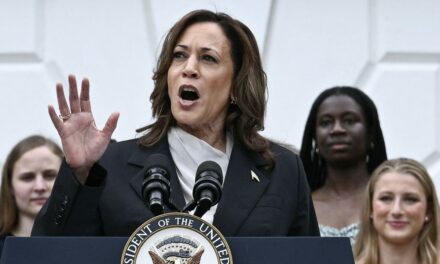 Choix entre la liberté et le chaos » : Kamala Harris entame sa campagne dans le Wisconsin et critique sévèrement le President Trump