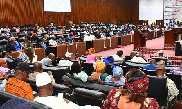 Guinée : Le CNT Appelle à la Responsabilité des Ministres et au Respect des Obligations Minières pour une Gestion Efficace du Patrimoine Public