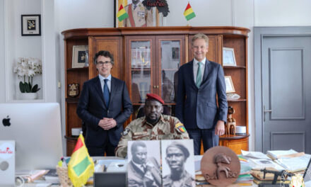 TRIBUNE DU MRN : La Guinée avance malgré les mensonges de Jeune Afrique