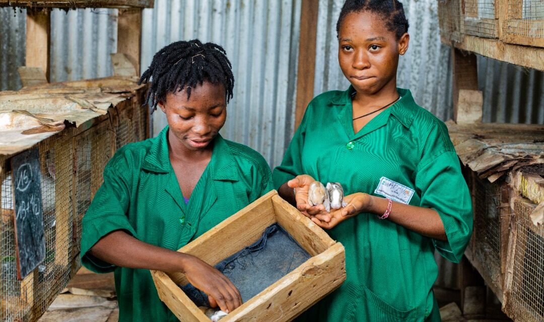 Sénégal : Le PFPI lance son fonds d’amorçage pour dynamiser l’emploi des jeunes