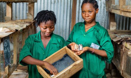 Sénégal : Le PFPI lance son fonds d’amorçage pour dynamiser l’emploi des jeunes