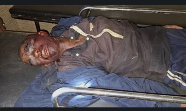 Lola : un bouvier tué et plusieurs bœufs abattus à Gbémbé lors d’affrontements entre agriculteurs et éleveurs