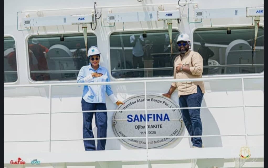 Simandou : le gouvernement veut confier plus de 51 % des opérations d’exploitation aux entreprises guinéennes