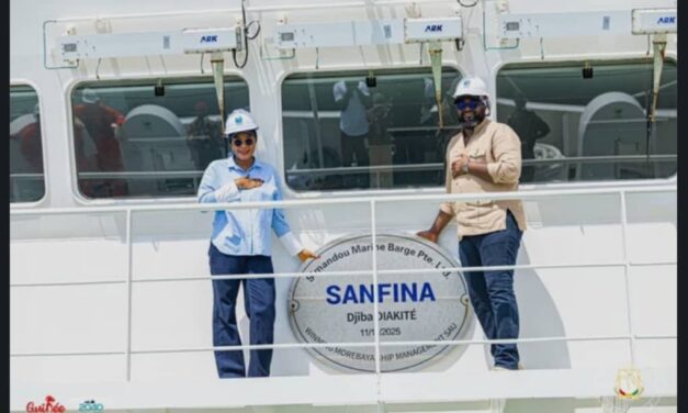 Simandou : le gouvernement veut confier plus de 51 % des opérations d’exploitation aux entreprises guinéennes