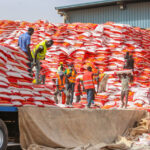 Sénégal : le prix du riz brisé importé bientôt revu à la baisse pour soulager les ménages