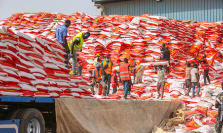 Sénégal : le prix du riz brisé importé bientôt revu à la baisse pour soulager les ménages