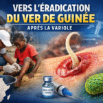 Guinée et monde : le ver de Guinée sur le point d’être éradiqué