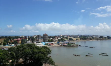 🇬🇳 La Guinée désignée pour abriter le Centre africain de développement minier