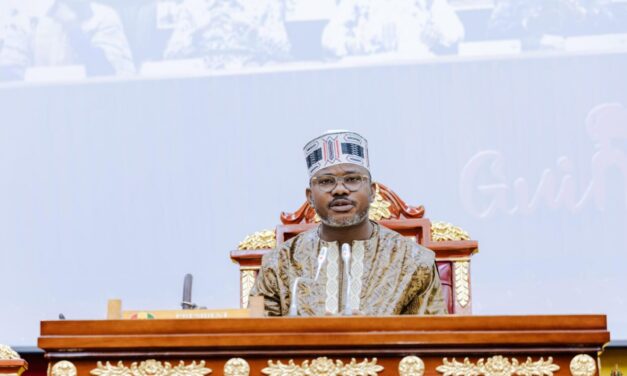 Guinée : le CNT adopte une feuille de route stratégique jusqu’en 2040