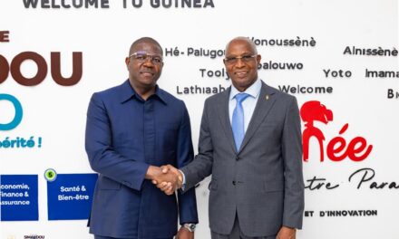 Guinée–Guinée-Bissau : Bah Oury plaide pour un renforcement de la sécurité aux frontières