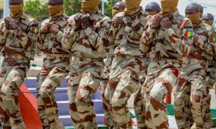 Guinée : 43 sous-officiers des forces spéciales décorés pour services rendus à la Nation