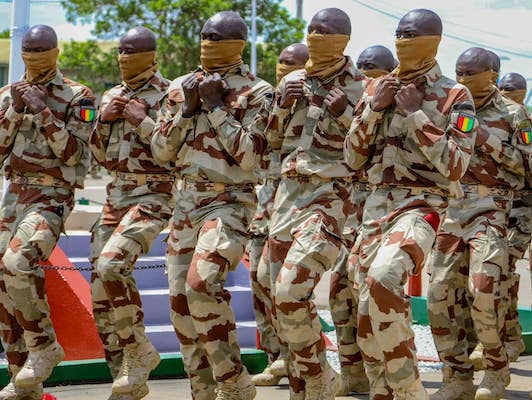 Guinée : 43 sous-officiers des forces spéciales décorés pour services rendus à la Nation