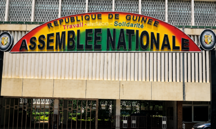 Guinée : la liste provisoire des 147 députés de la future Assemblée nationale dévoilée