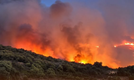 France : un violent incendie dans les Pyrénées-Orientales entraîne l’évacuation de 5 000 personnes et bouleverse le Tour de France