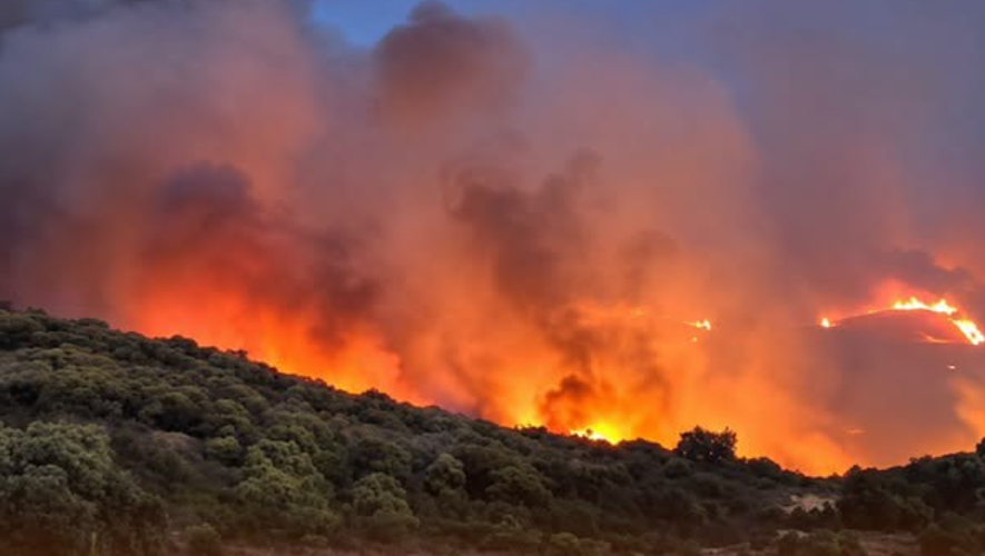 France : un violent incendie dans les Pyrénées-Orientales entraîne l’évacuation de 5 000 personnes et bouleverse le Tour de France